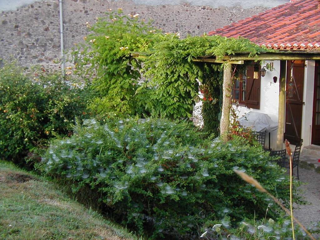 Hotel Le Pit Lessac Zewnętrze zdjęcie